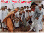 Plant a Tree Campaign (36961 bytes)