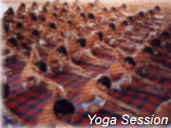 Yoga Session (31010 bytes)